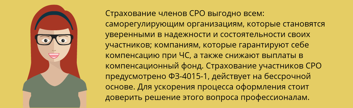 Страхование СРО в Мелеуз – оформить страховку участнику саморегулирующей организации